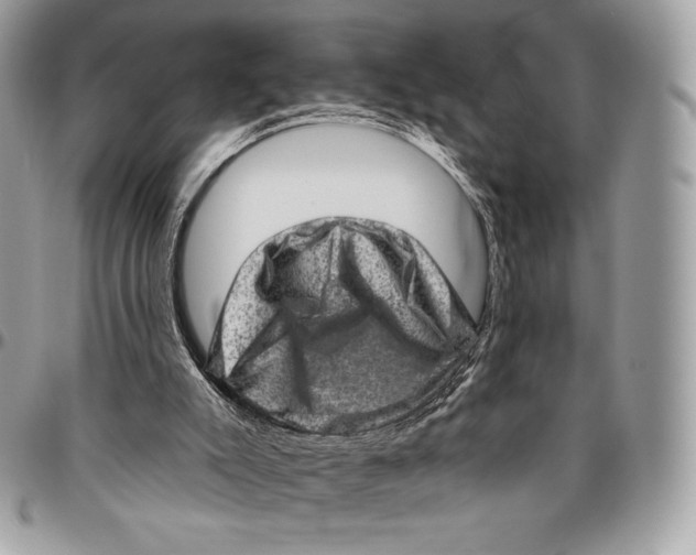 X0000094770007200712071144