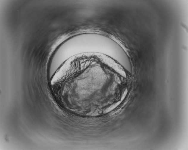 X0000094770008200712071144