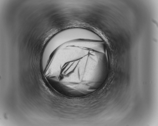 X0000094770010200712071144