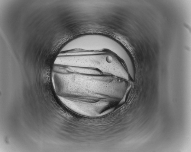 X0000094770017200712071144