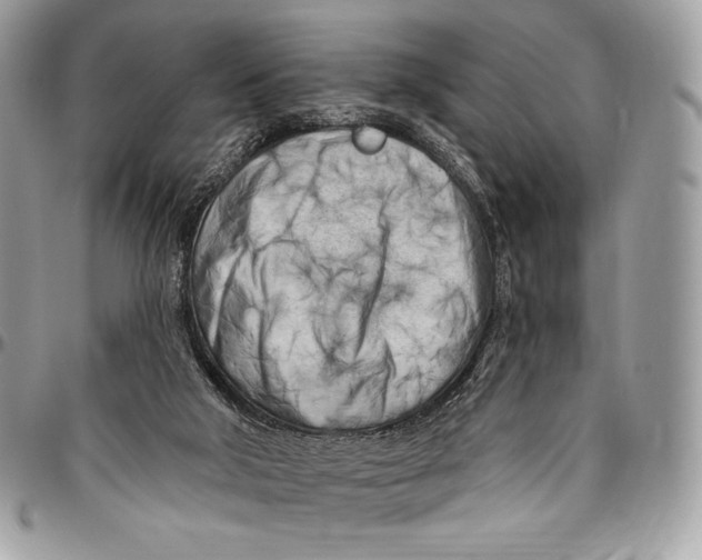 X0000094770018200712071144