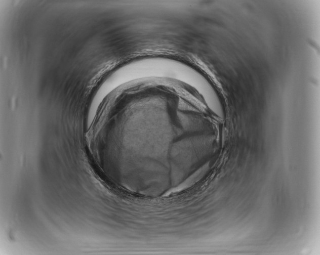 X0000094770019200712071144