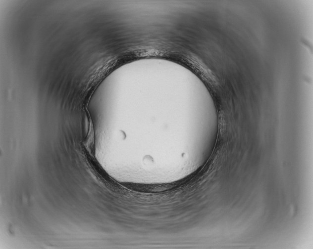 X0000094770022200712071144