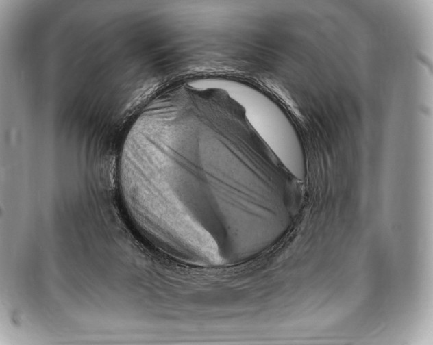 X0000094770023200712071144