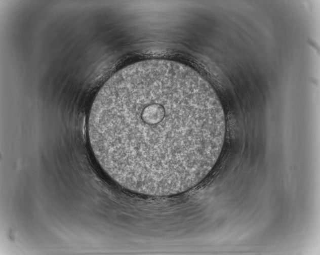 X0000094770024200712071144