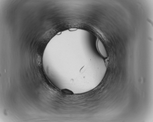 X0000094770025200712071144