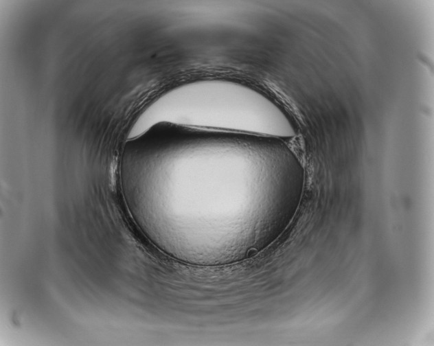 X0000094770026200712071144