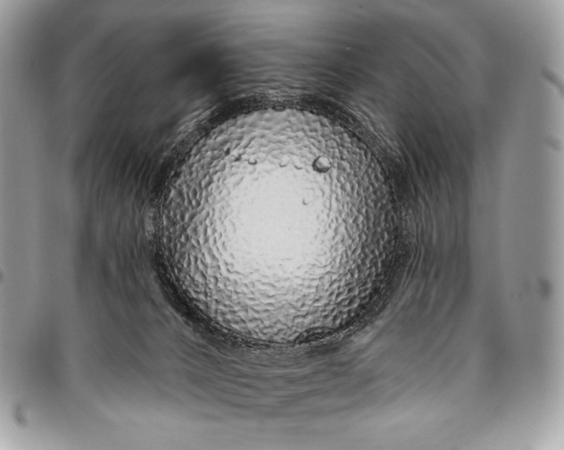 X0000094770032200712071144