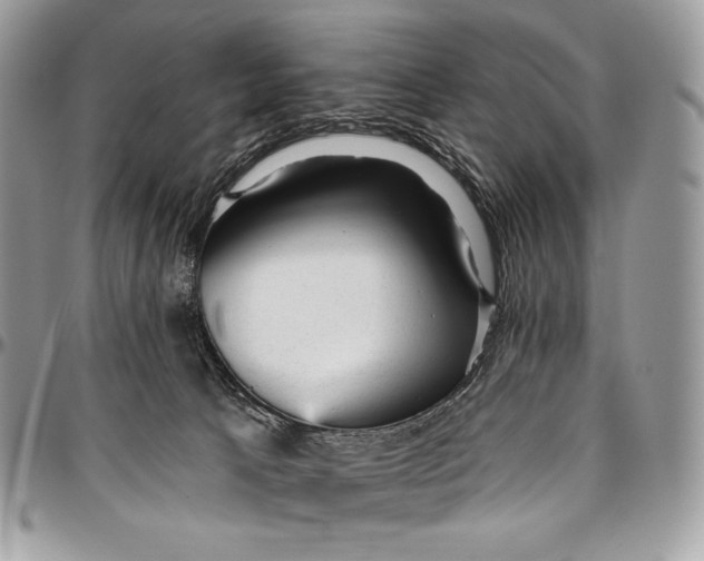 X0000094770033200712071144