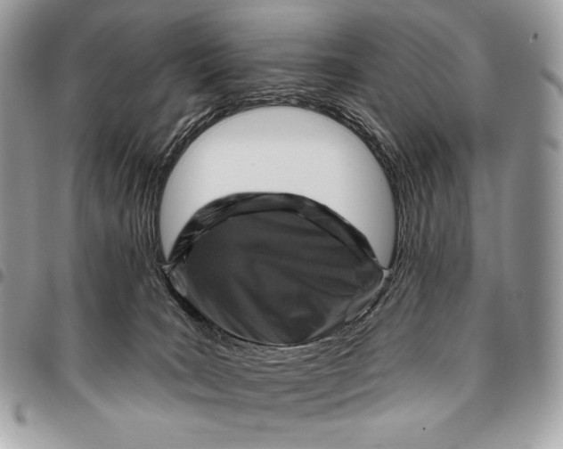 X0000094770035200712071144