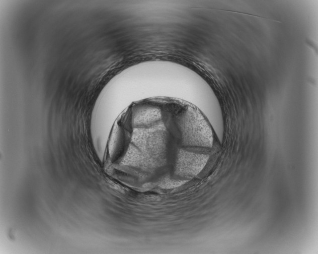 X0000094770037200712071144