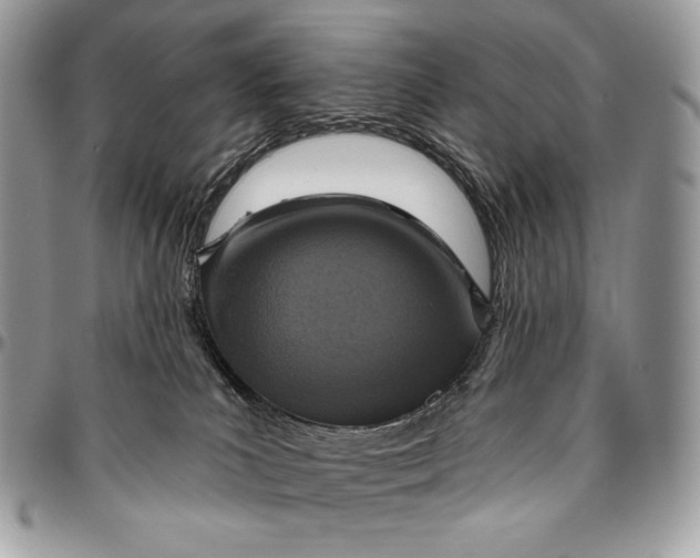 X0000094770039200712071144