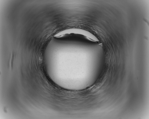 X0000094770040200712071144