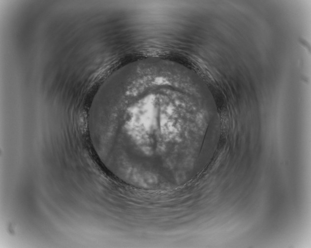 X0000094770043200712071144