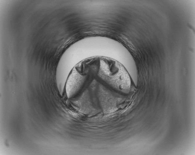 X0000094770045200712071144