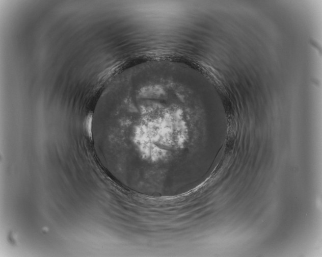 X0000094770047200712071144