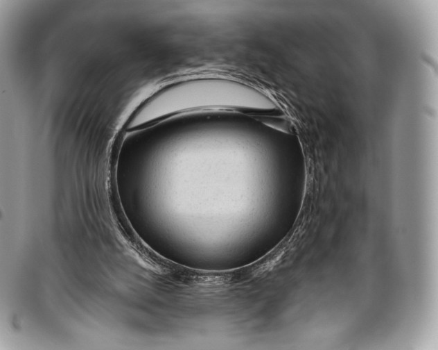 X0000094770056200712071143