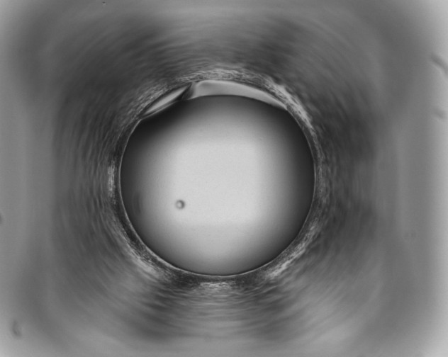 X0000094770057200712071143