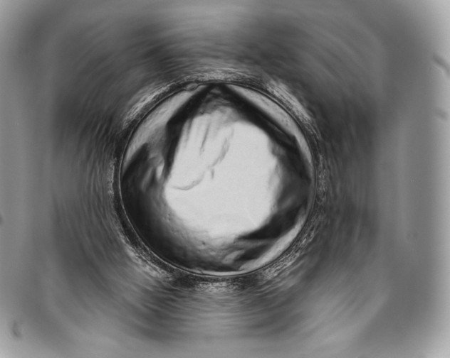 X0000094770058200712071143