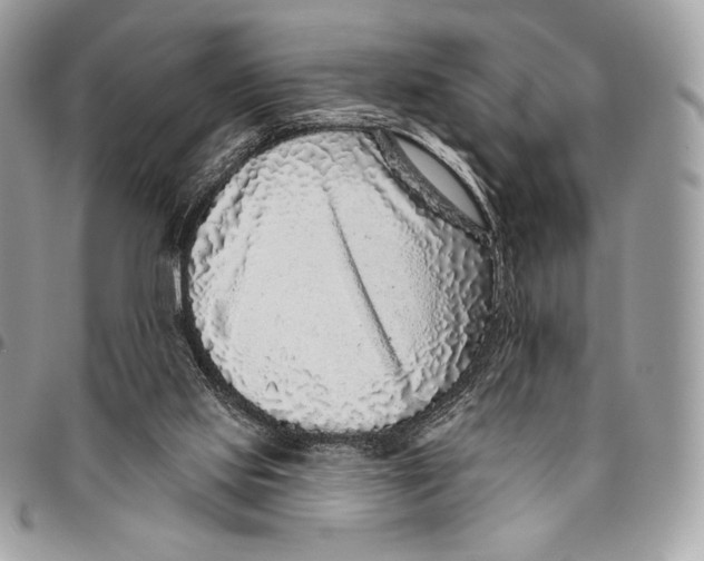 X0000094770061200712071143