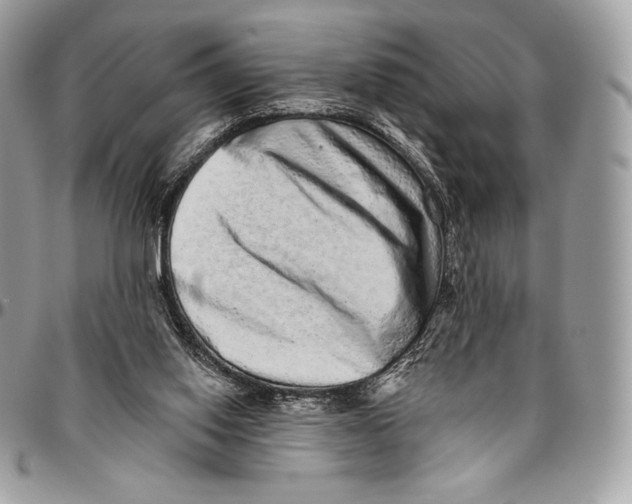 X0000094770062200712071143