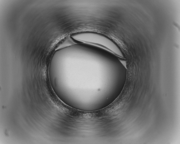 X0000094770064200712071143