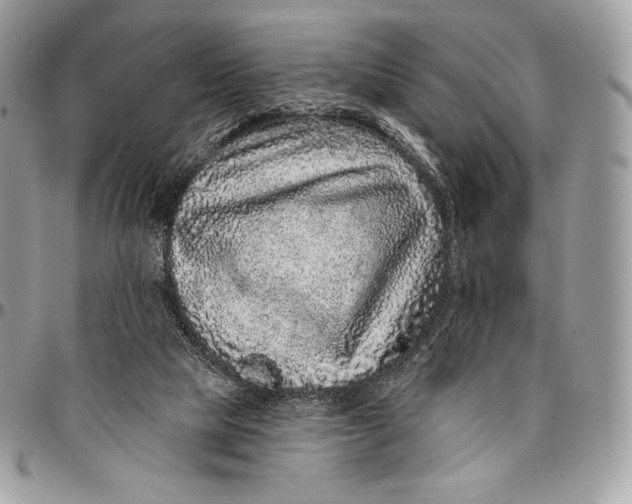 X0000094770065200712071143