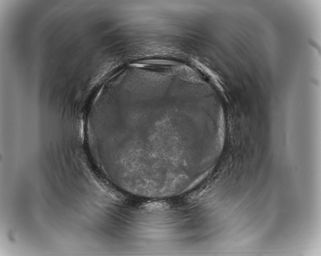 X0000094770067200712071143