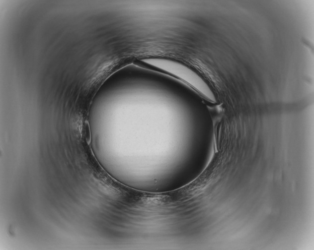 X0000094770072200712071143