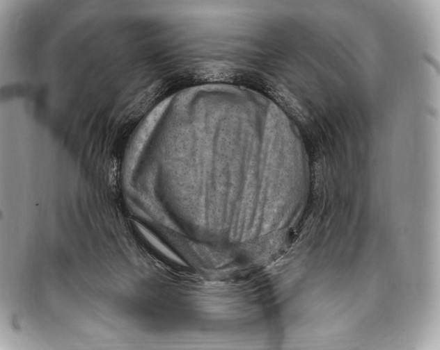 X0000094770073200712071143