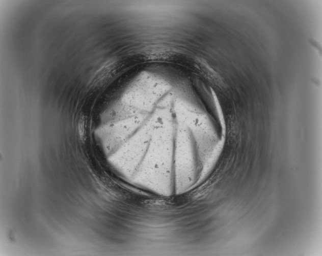 X0000094770074200712071143