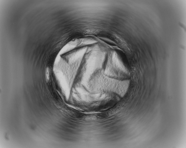 X0000094770075200712071143