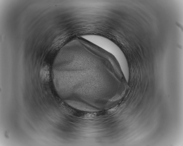 X0000094770080200712071143