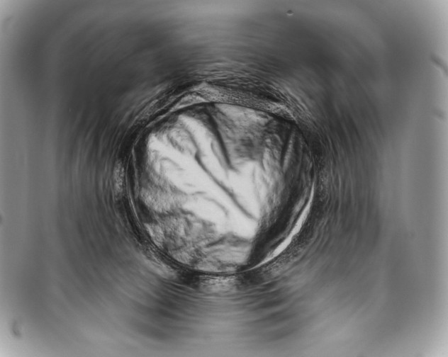 X0000094770081200712071143