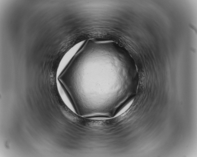 X0000094770086200712071143