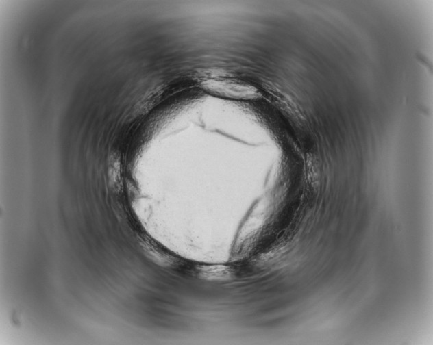 X0000094770087200712071143