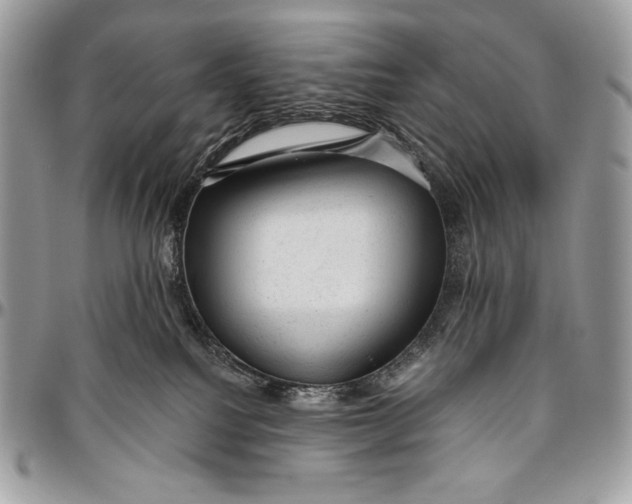 X0000094770088200712071143