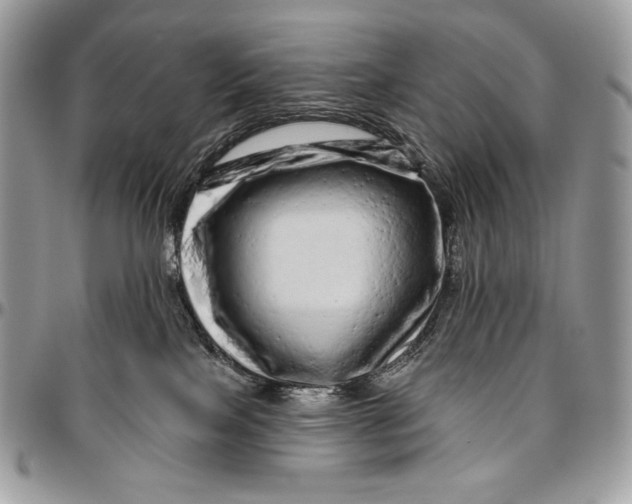 X0000094770089200712071144