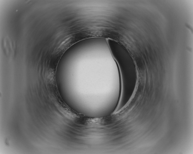 X0000094770092200712071144