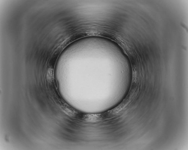 X0000094770093200712071144