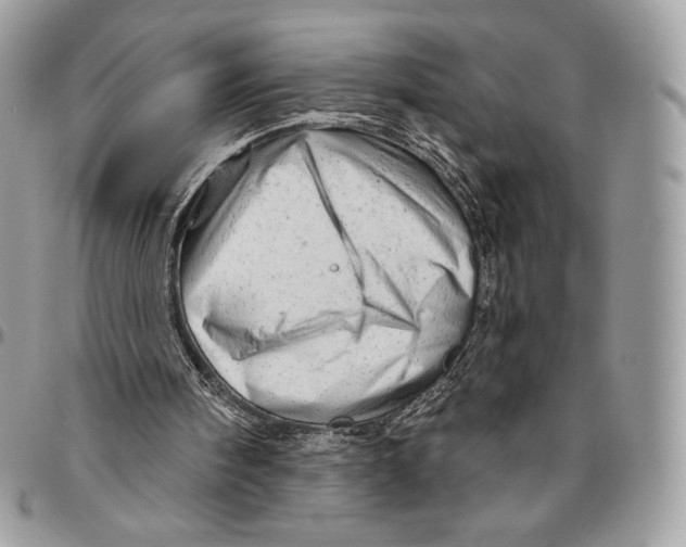 X0000094770098200712071143