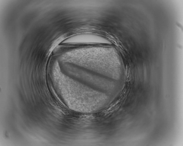 X0000094770099200712071143