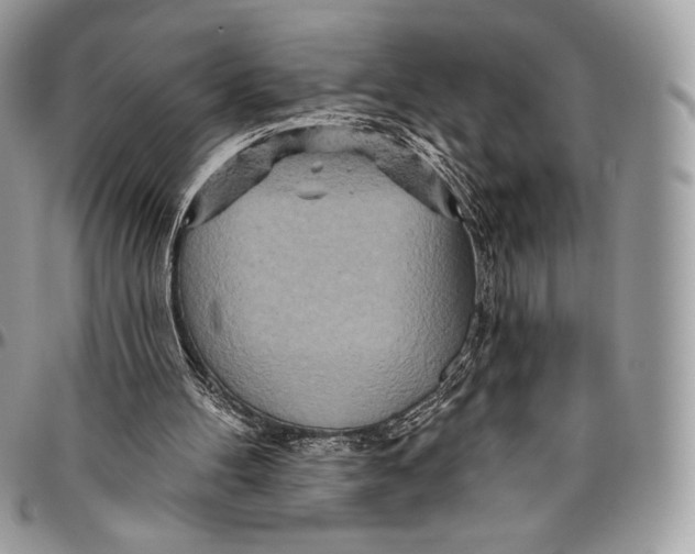 X0000094770100200712071143