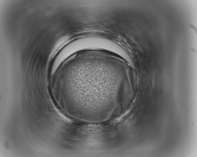 X0000094770101200712071143