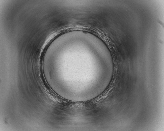 X0000094770102200712071143