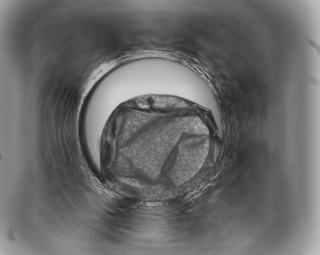 X0000094770104200712071143