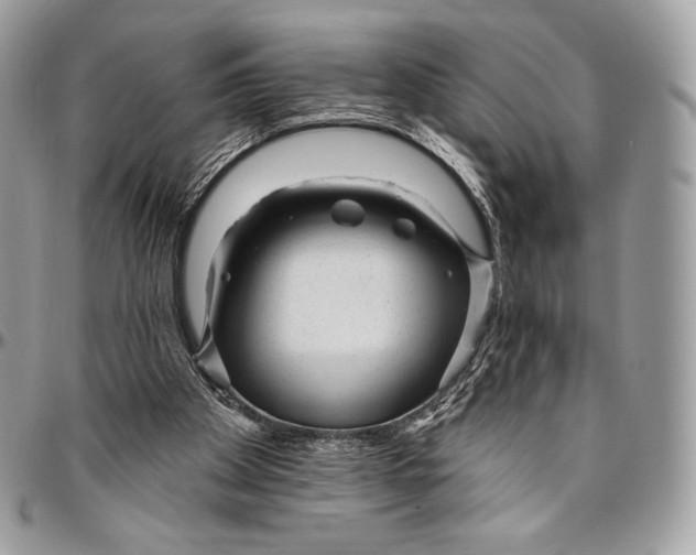 X0000094770105200712071143