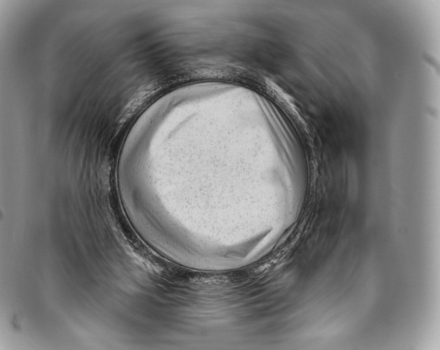 X0000094770106200712071143