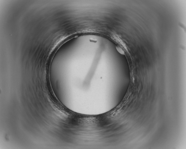 X0000094770108200712071143