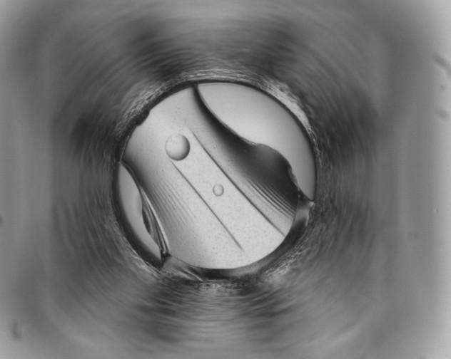 X0000094770109200712071143